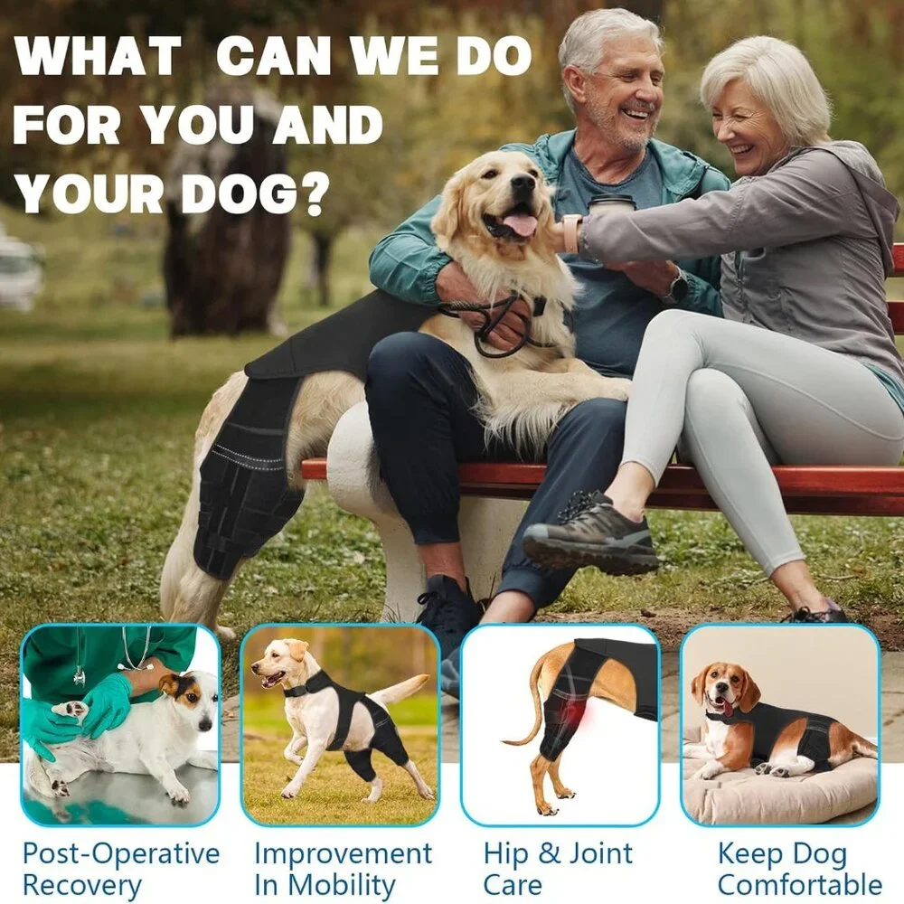 Dog Knee Brace for Torn Acl Hind Leg
